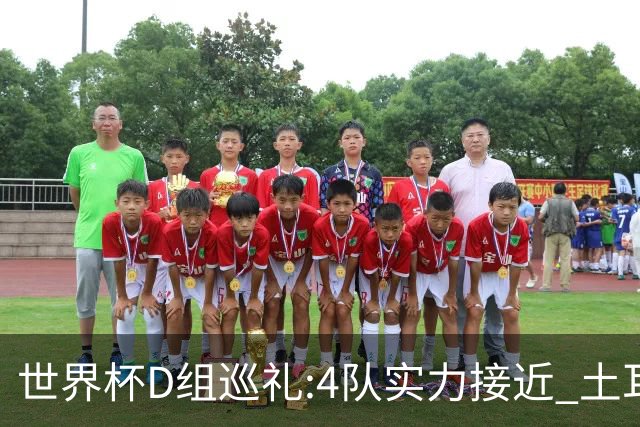世界杯D组巡礼:4队实力接近 土耳其迎新黄金一代
