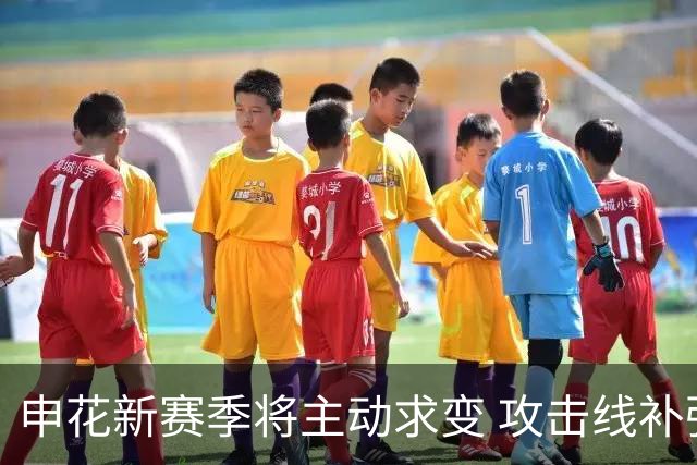 申花新赛季将主动求变 攻击线补强+战术升级是重点