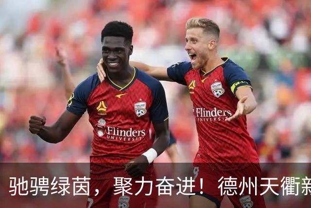 驰骋绿茵，聚力奋进！德州天衢新区首届职工足球联谊赛闭幕